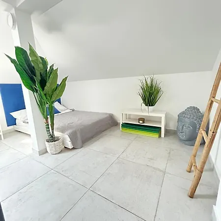 Apartment Baronessa Zadar